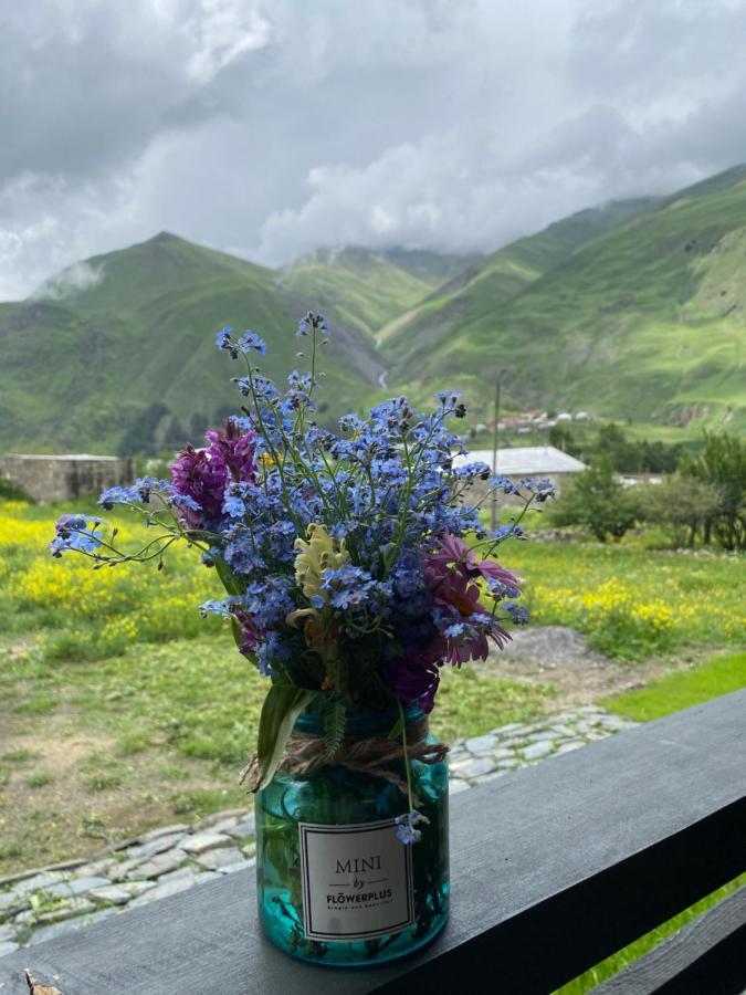 Cottage Kazbegi Sioni Zewnętrze zdjęcie