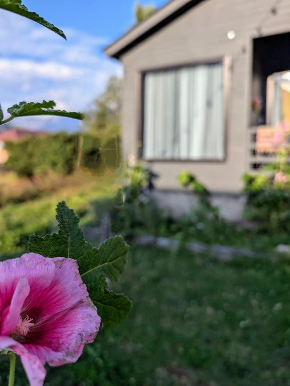 Cottage Kazbegi Sioni Zewnętrze zdjęcie